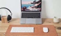 天涯社区的小草版块回忆录