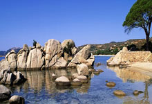 探索山东论坛天涯社区的热情世界